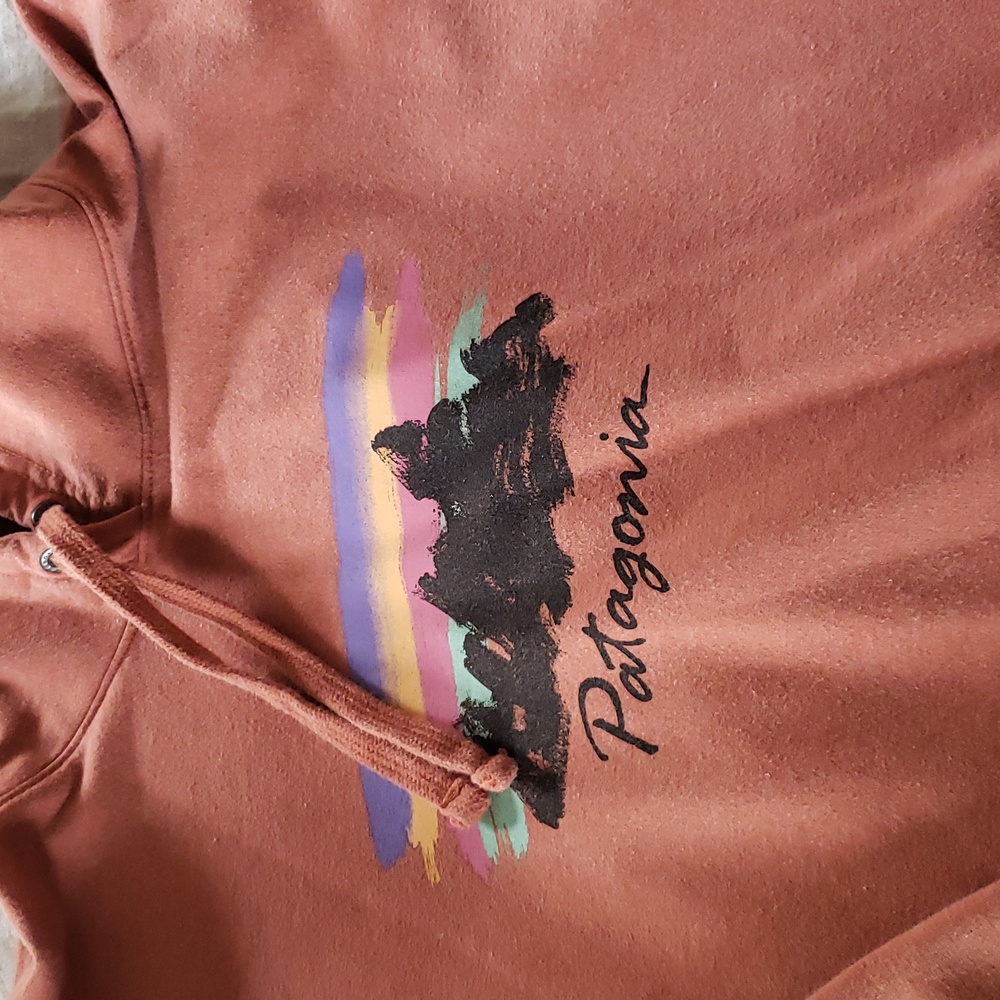 Patagonia hoodie - Picture 10 of 10